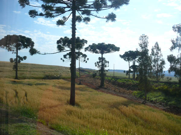 P1000701