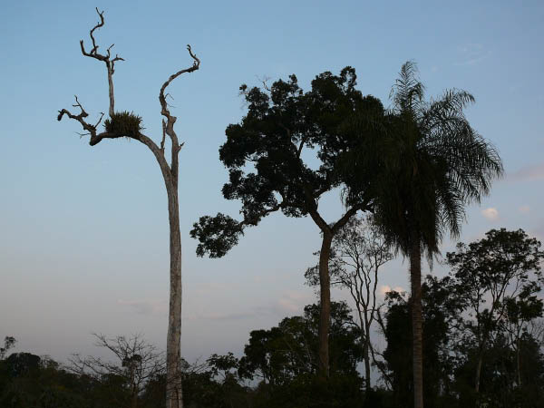 P1010104