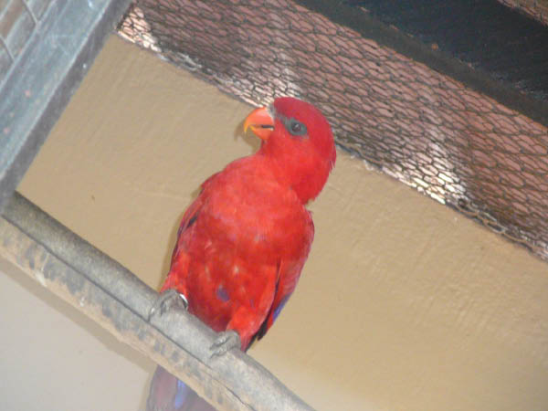P1010242