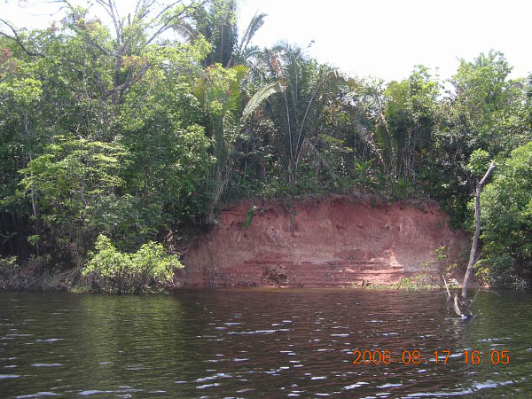DSCN3770