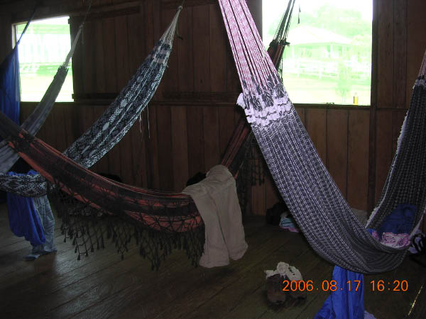 DSCN3773