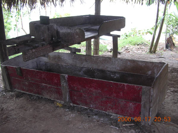 DSCN3786