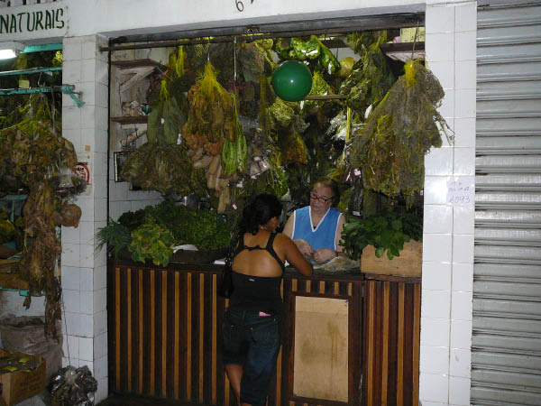 P1010934
