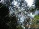 DSCN3760