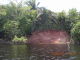 DSCN3770