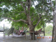 DSCN3772