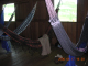 DSCN3773