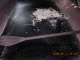 DSCN3784