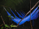 P1010712