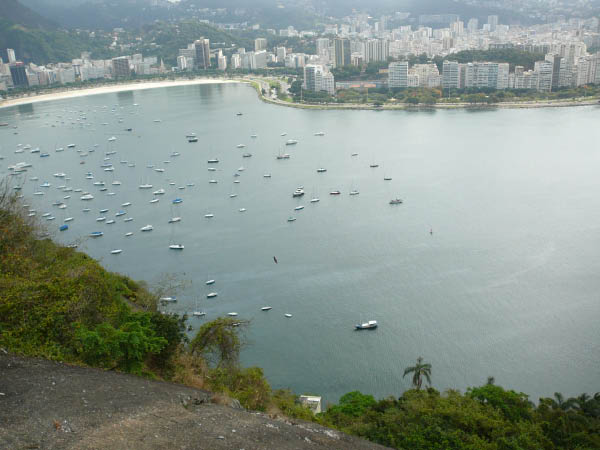 P1000528