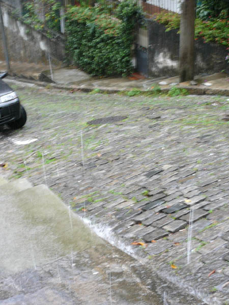 P1000599