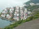 P1000529