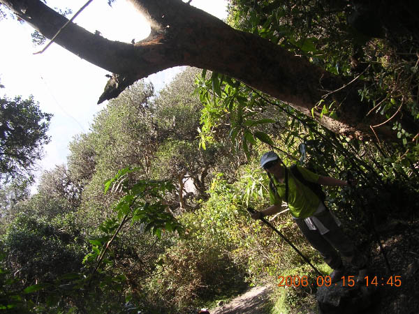 DSCN3983