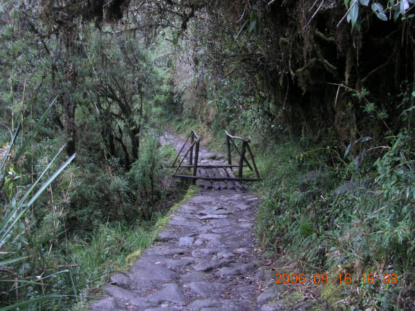 DSCN4078