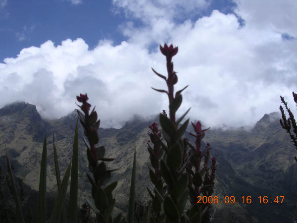 DSCN4084