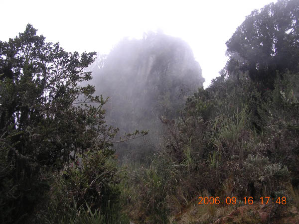 DSCN4102