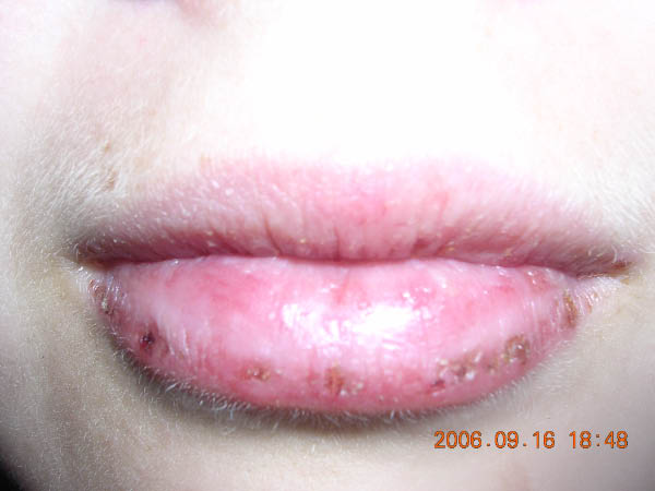 DSCN4111