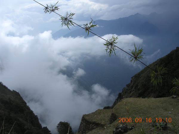 DSCN4115