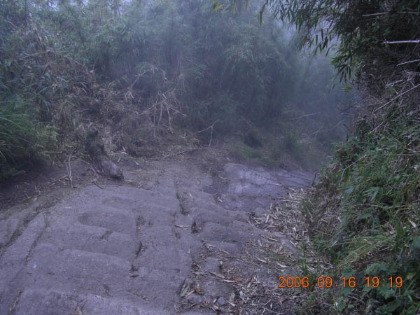 DSCN4124