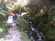 DSCN3981