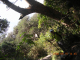DSCN3983