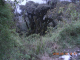 DSCN4074