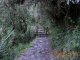 DSCN4078