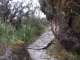DSCN4099