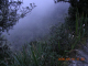 DSCN4103