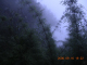 DSCN4125
