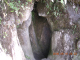 DSCN4134