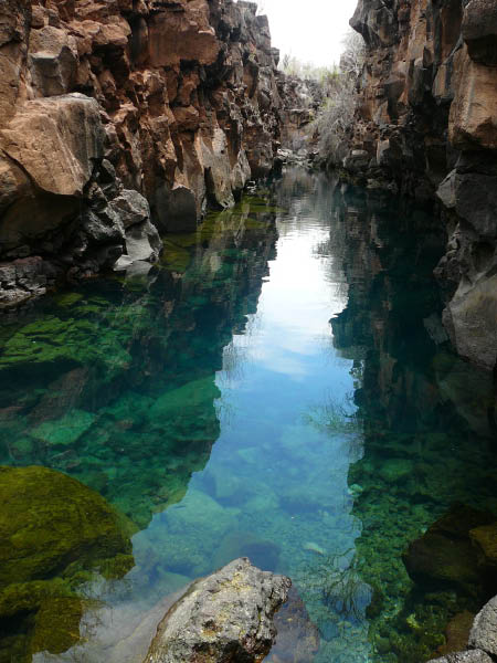 Galapagos (14)