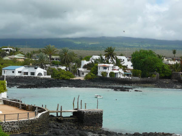 Galapagos (32)