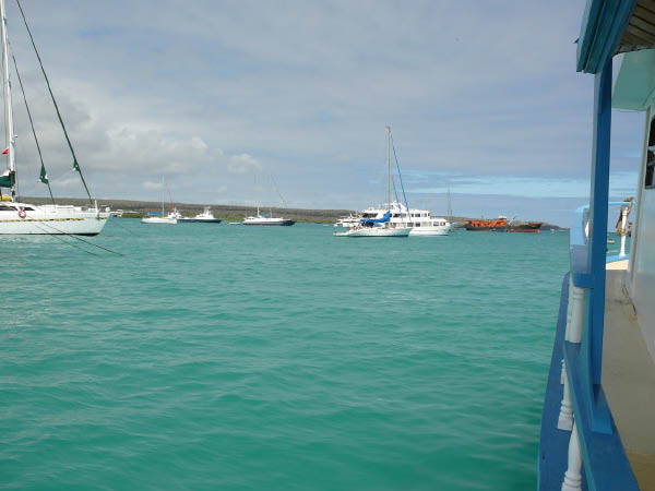Galapagos (33)
