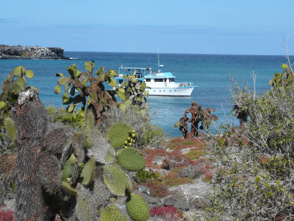 Galapagos (88)