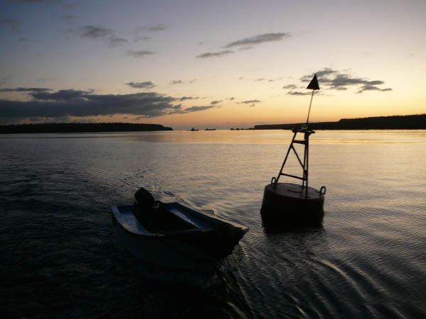 Galapagos a (16)