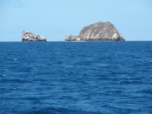 Galapagos a (5)