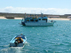 Galapagos a (14)