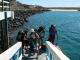 Galapagos a (21)