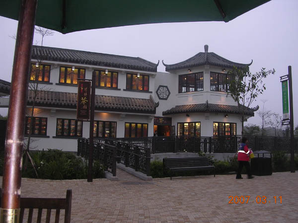 DSCN6139
