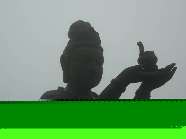 P1130516