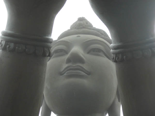 P1130523