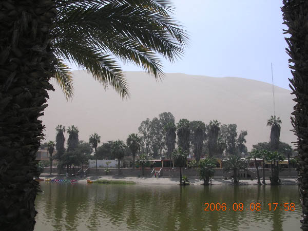 DSCN3894