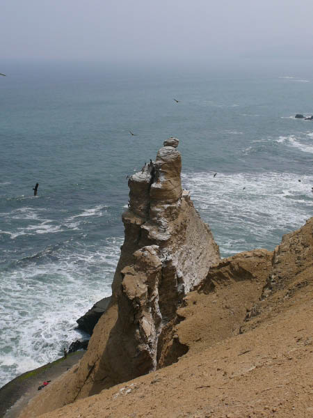 P1020886