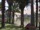 DSCN3893