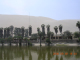 DSCN3896