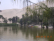DSCN3898
