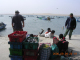 DSCN3929