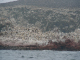 P1020805