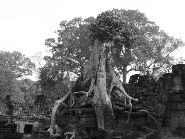 P1120659